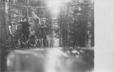 Hunters skinning deer Shotgun rifle C-1910 Postcard RPPC 24-7536 picture