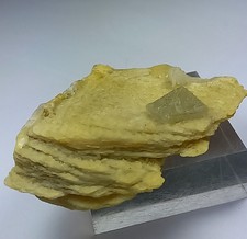 Extremely Rare Specimen of Hydroyl Herderite :90g picture