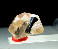 Beautiful Imperial Color Topaz with Tourmaline Combine Perfect Shape Crystal  picture