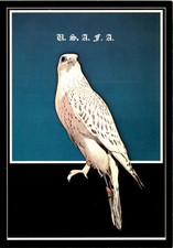 U. S. A. F. A., FALCON, UNITED STATES AIR FORCE ACADE Postcard picture