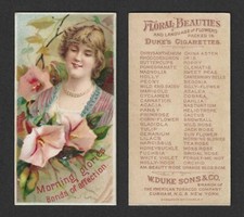 c1880's N75 Duke Tobacco Card - Floral Beauties Series - Morning Glory Affection picture
