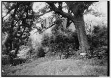 Photo:Historic American Buildings Survey 1910s House Among Trees Exterior picture