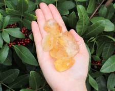 Rough Citrine Crystals: 5 Piece Lot ('A' Grade Premium Quality Raw Citrine) picture