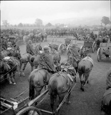 Military parade of Thurgau field artillery Abt 21 Frauenfeld 1949 Old Photo 2 picture