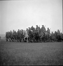 Defilee of the Thurgau Field Artillery Dept 21 Frauenfeld 1949 Old Photo picture
