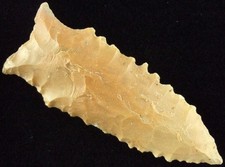 Exceptionally Fine Serrated Kentucky Dalton Point with T&T COA Arrowheads picture