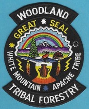 WHITE MOUNTAIN APACHE ARIZONA WOODLAND TRIBAL FORESTRY PATCH picture