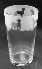 HUNGARIAN VIZSLA Frieze Boxed 57cl Conical 1 Pint Glass picture