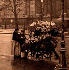 Flower Stand at Place de La Madeleine Paris France 1920s Postcard Street Scene picture