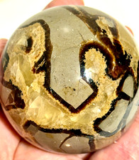 Septarian Dragon Ball .64 lb./290 gr. 2.33 in./59 mm. #589 picture