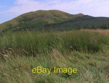 Photo 6x4 View north-east from forest clearance above Pier Burn Edgerston c2008 picture