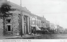 1908 Main Street View Chelsea Michigan MI - Reprint picture