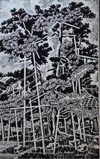Vintage Japanese Woodblock Print -Karasaki- Sojiro Kiwamura Sosaku-hanga c.1959 picture