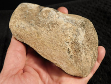 190 Million Year OLD DINOSAUR Fossil Bone From Jurassic Utah 543gr picture