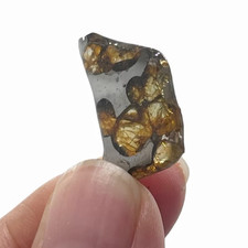 7.5CT SEYMCHAN pallasite meteorite slice METEORITE/USA QA849 picture