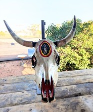 Professionally Cleaned And Hand Painted Cow Skull picture