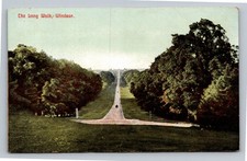 The Long Walk Windsor Castle UK Edwardian Postcard Marshall's Series picture