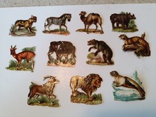 1880s Victorian Die - Cut. Zoo Animals Lot Of 11 Approx 1.5