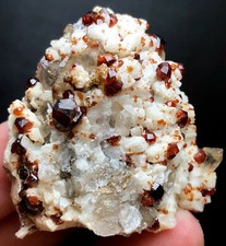 53g 1PC Brand new Rare Black SMOKY QUARTZ Crystal Point&Garnet Spessartine W432 picture