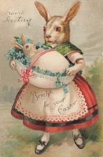 Vintage Easter Anthropomorphic Rabbit Postcard 1908 Embossed German Print picture