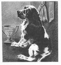 Cocker Spaniel - CUSTOM MATTED - Dog Art Print - M. Dennis 