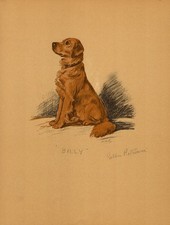 1930s Vintage Lucy Dawson Golden Retriever Print Golden Retriever Art 6920p picture