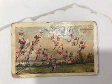 Antique Postcard - Language of Flowers Sweet Pea: “Wish you Joy” - free postage picture