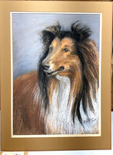 VTG Margaret O'Hara Lassie Dog Pastel Art Rough Collie Shelti Shetland Sheepdog picture