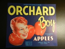 VINTAGE ORCHARD BOY APPLES UNUSED LABEL. Approx. 8 3/4