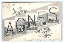Vintage AGNES Name Postcard 1906 Floral Art Joe to Agnes Skaneateles NY picture