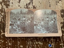 c.1910 Cutting Sugar Cane Black Americana Griffith Stereoview picture