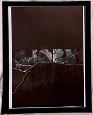 BJORK George, WA May 26, 2007 11x14 FRAMED Vintage Concert Tour Poster Art Print picture
