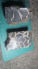 Two large polished pieces of septarian picture