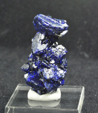 Azurite, Milpillas Mine, Mapimi, Sonora, Mexico 34x19mm picture