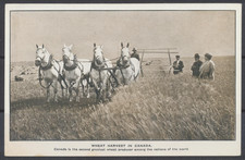 1910s Canada/UK ~ Western Canada ~ Prairie Wheat Harvest ~ Dept. of Emigration picture