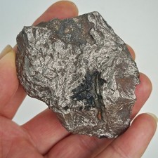 Natural Aletai Iron Meteorite 218.4 Grams Original Stone Perfect Fusion Crust picture