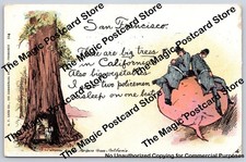 Sleeping Cops on Giant Beet Pun Wawona Redwood MARIPOSA GROVE California 1907 picture
