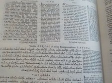 x-rare 1657 WALTON POLYGLOT [London] 8 languages Gen - Lev Watchtower research picture
