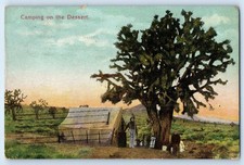 1912 View Of Camping On The Dessert Phoenix Arizona AZ Posted Antique Postcard picture