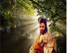 Catholic print picture- LOST SHEEP - 8
