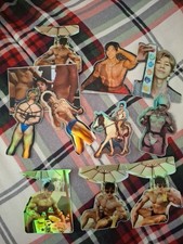 Gay Asian Stickers x11 Lot, Holographic 3x3inches  Muscle Men picture