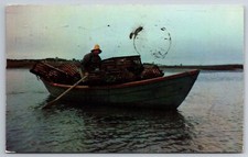 ME, Maine Lobsterman, Fishing Boat, Man, Vintage Postcard picture