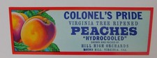 25 Vintage Colonel's Pride Peaches Crate Labels .Round Hill Virginia picture