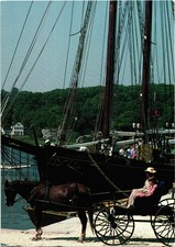 Vintage Horse-Drawn Carriage Mystic Seaport Mystic Connecticut Postcard Unposted picture