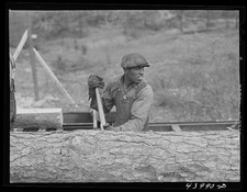 Photo:Heard County Georgia 1941 Sawmill Worker African American Lumberman picture