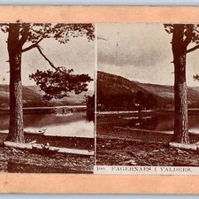 c1880s Fagernes, Norway Valdres Pond Bridge Boat Stereoview Photo Ingersoll V28 picture