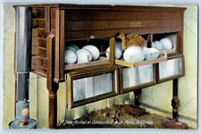 c1910 California CA Vintage Postcard New Arrival Cawston's Ostrich Farm Drawer picture