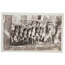 Deer Hunting Quincy California Rppc Postcard 1915 picture