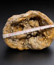 2.1 lb Open Kentucky Geode Half – Rare Botryoidal Crystal Display Specimen picture