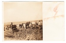 c. 1910s-20s RPPC Farm Workers Horse Teams Wagons Farming Velox B&W Postcard picture